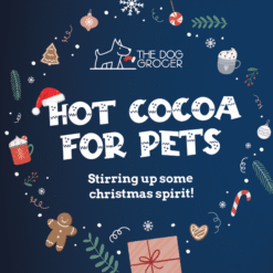 Hot Cocoa for Pets